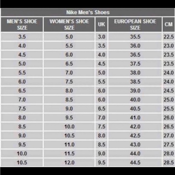 Nike Dunk Hi - Picture 11 of 11